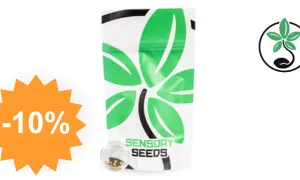 AK 47 - graine de cannabis SensorySeeds avec code promo