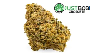 Amnesia CBD Boost - CBD grossiste JustBob avec code promo