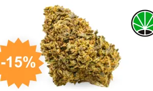 Amnesia CBD Boost - boost CBD JustBob avec code promo