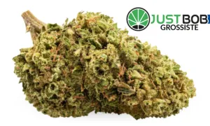 Bubblegum - CBD grossiste JustBob avec code promo