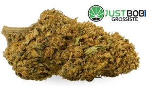 California Haze - CBD grossiste JustBob avec code promo