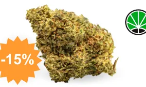 Master Kush - fleur CBD JustBob avec code promo