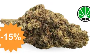 Royal GG#4 - boost CBD JustBob avec code promo