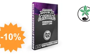 Double Cookies - graine de cannabis SensorySeeds avec code promo