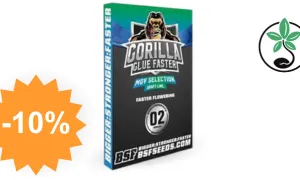 Gorilla Glue - graine de cannabis SensorySeeds avec code promo