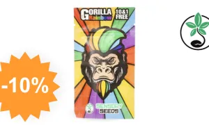 Gorilla Rainbows - graine de cannabis SensorySeeds avec code promo