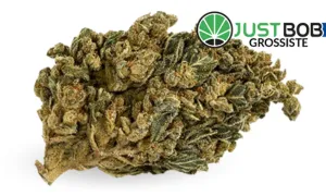 HQ CBD Boost - CBD grossiste JustBob avec code promo