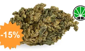 HQ CBD Boost - boost CBD JustBob avec code promo