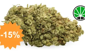 Zkittles CBG - fleur CBD JustBob avec code promo