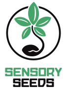 Logo officiel SensorySeeds, Partenaire vérifié PromoCBD